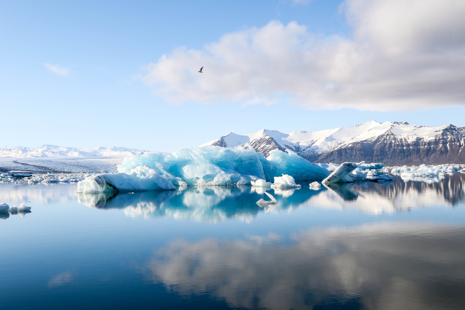 Arctic