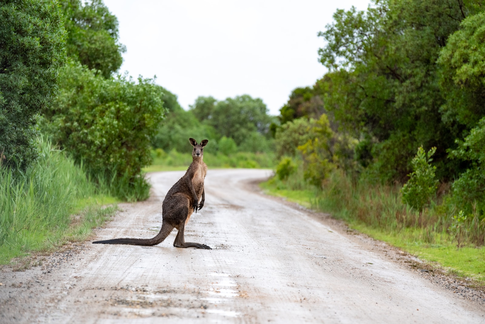 Australia